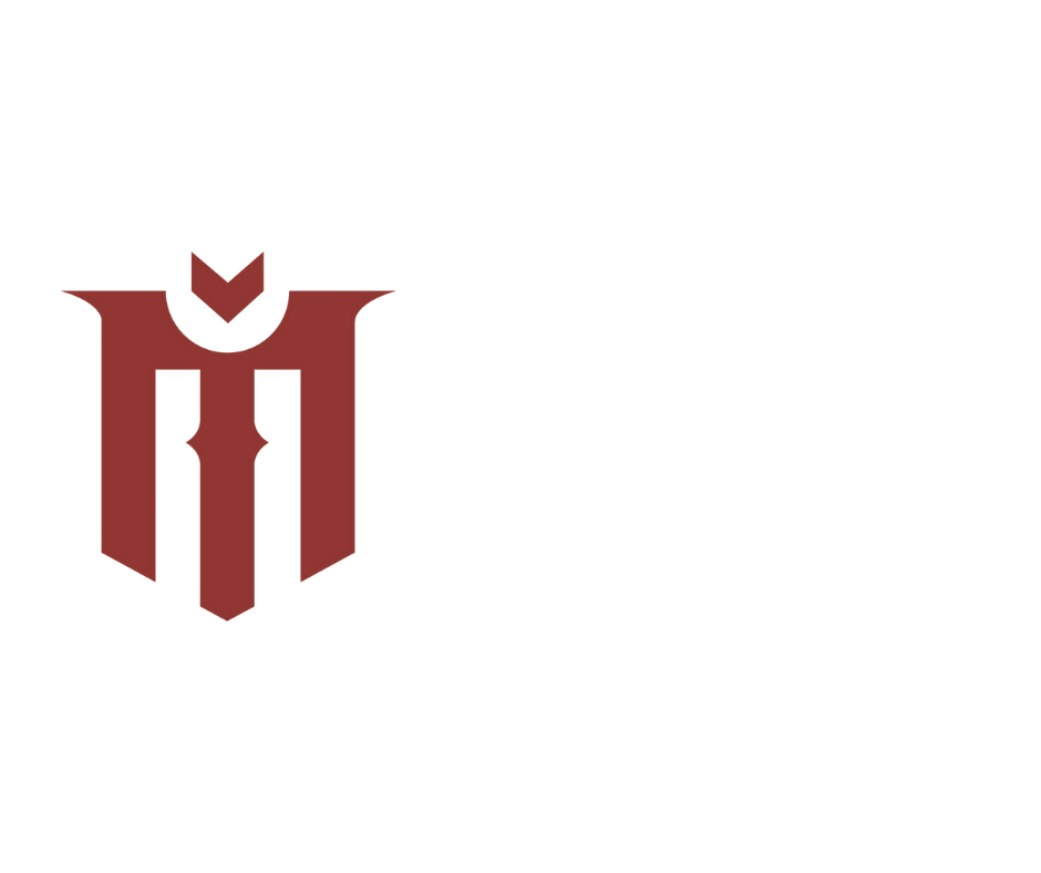 Maximus Soluções